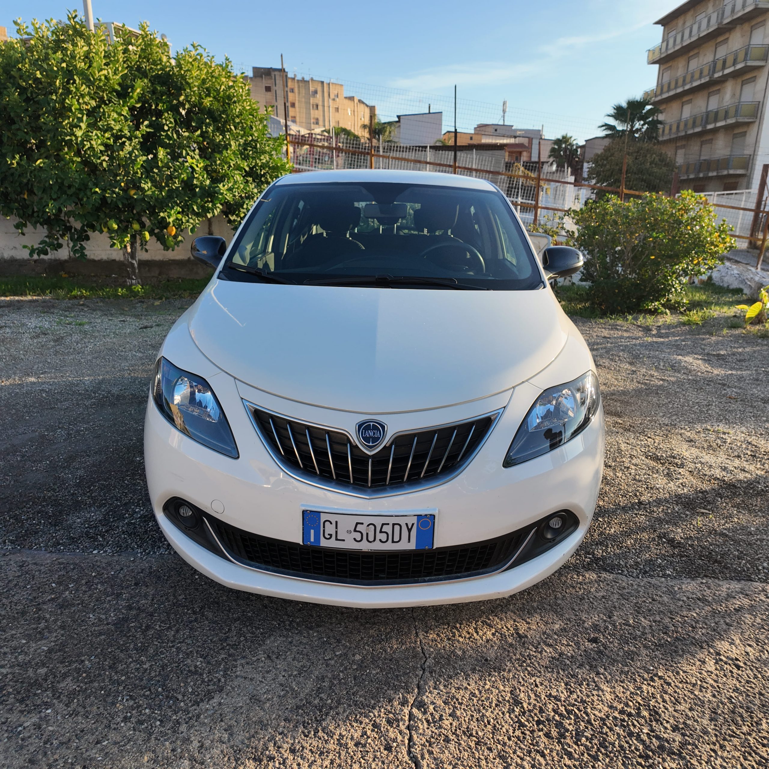 DJI_20251029171846_0382_D