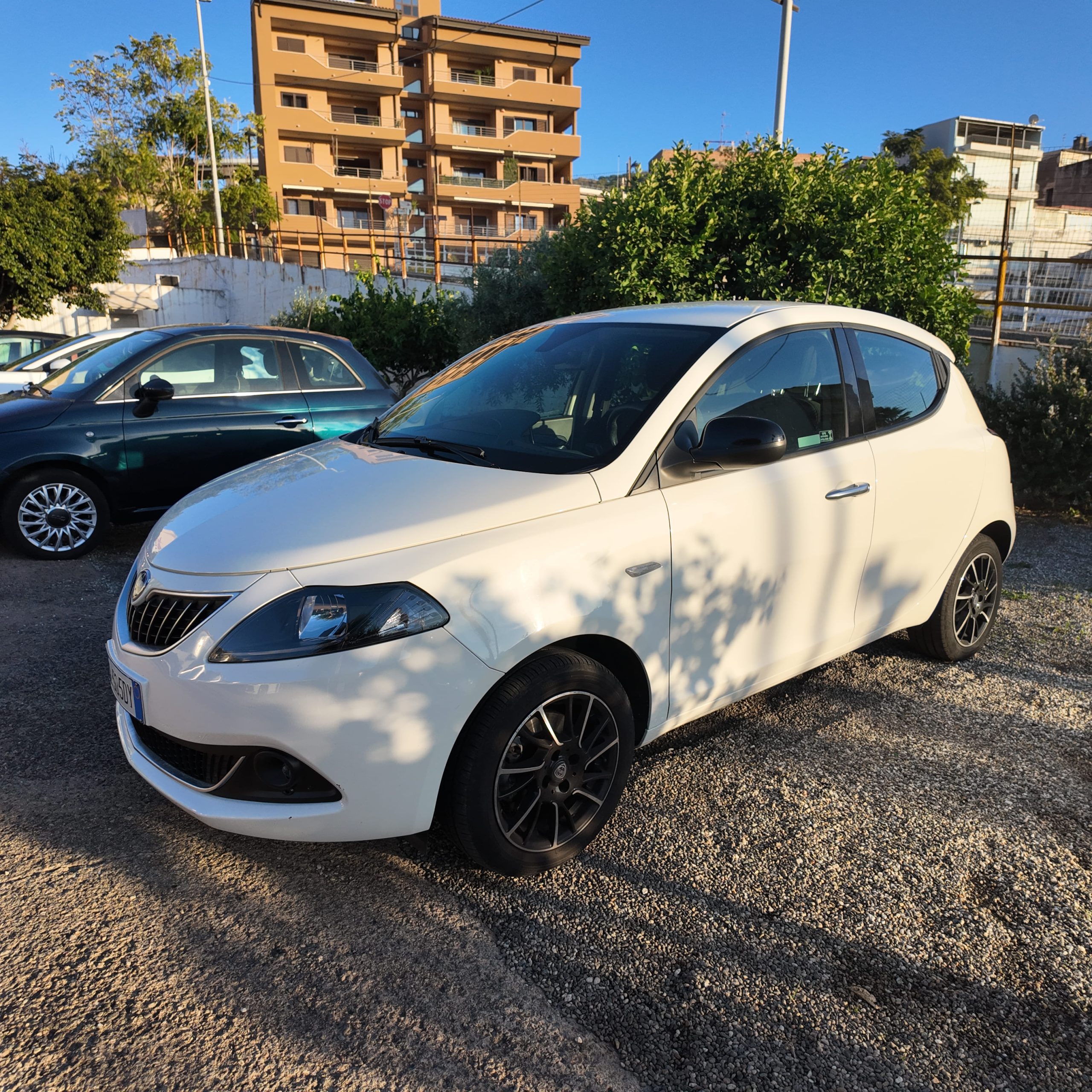 DJI_20251029171852_0383_D