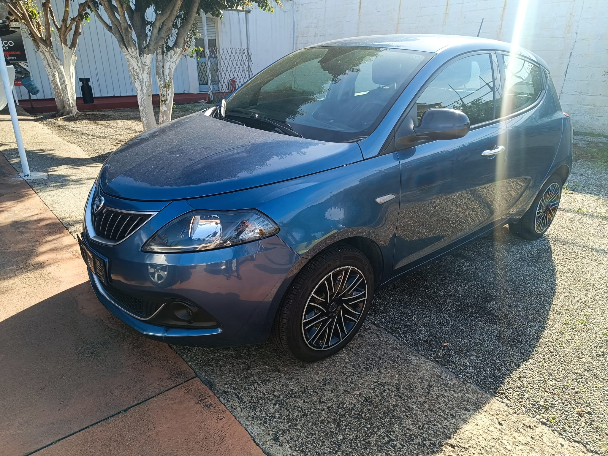 Immagine WhatsApp 2025-11-19 ore 15.19.58_124d1080