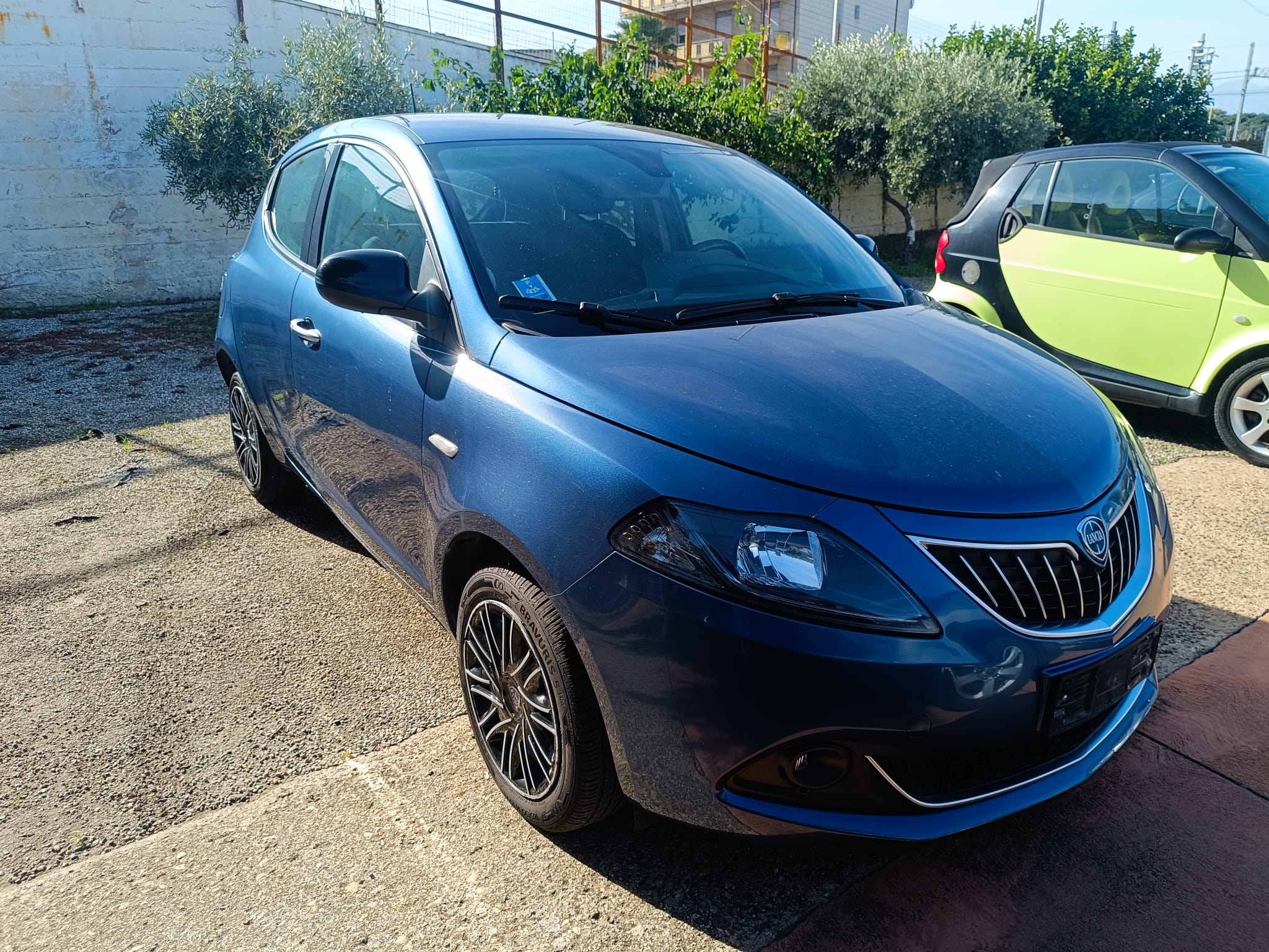 Immagine WhatsApp 2025-11-19 ore 15.19.59_23494b5f